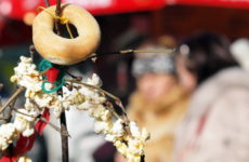 Зимові обряди тернівських болгар