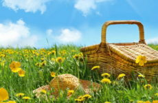 Чим багатий травневий розмай