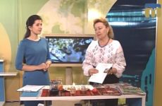Миколаївщина Великодня: Галина Лозко у програмі «Новий день»