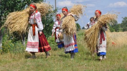 Жнива: обряди та традиції