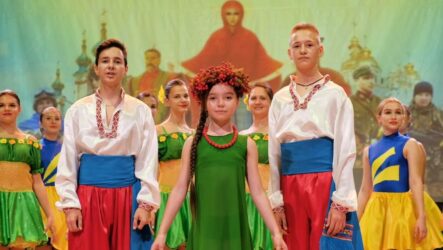 Дистанційно провели огляд «На Покрова»
