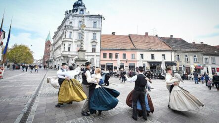 Традиції святкування Дня святого Мартіна в Європі