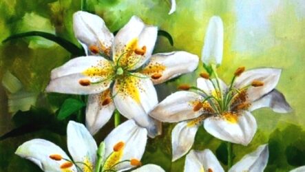 Лілія – друга королева квіткового царства