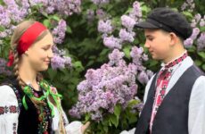 “Жива” спадщина Миколаївщини («Хроніка інгульського весілля», Інгульська ТГ)